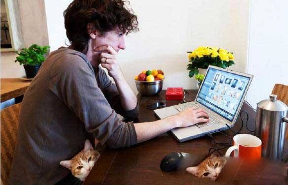 不用说话安静的工作，不用跟人打交道的工作